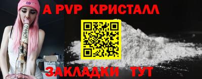 шишки Тверь