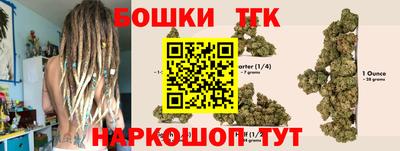 шишки Тверь