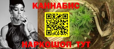 шишки Тверь