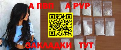 шишки Тверь