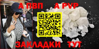 шишки Тверь