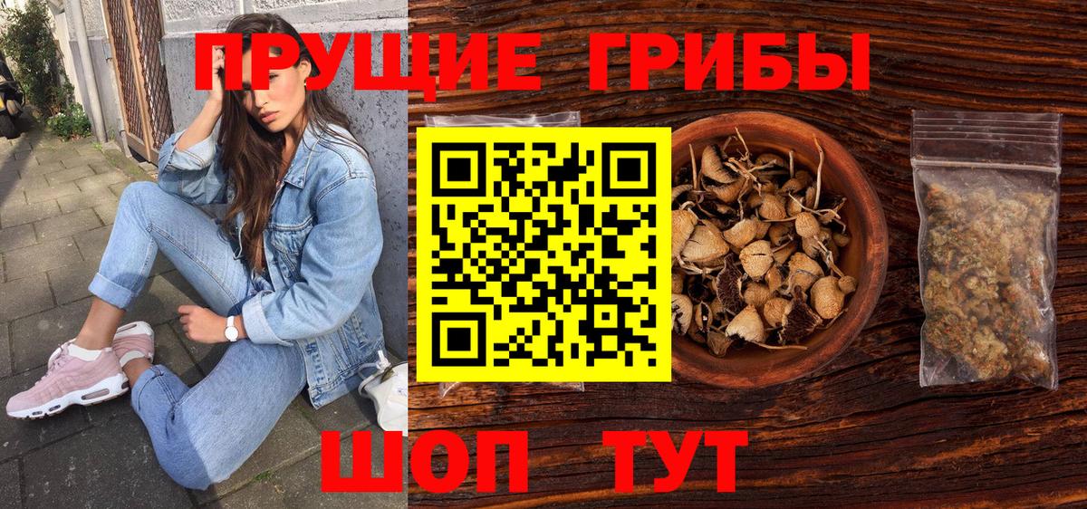 Псилоцибиновые грибы Psilocybe Острогожск