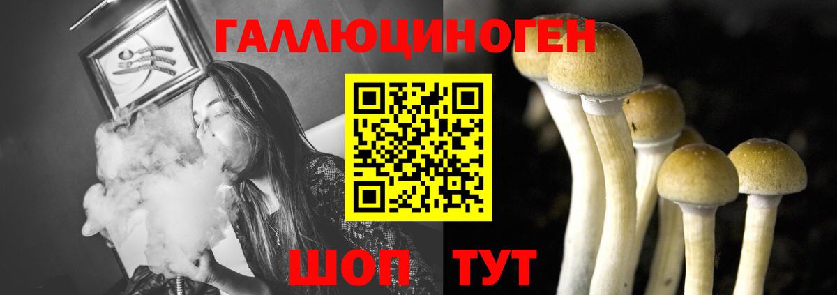 Псилоцибиновые грибы GOLDEN TEACHER  наркошоп  Острогожск  Вход с VPN 